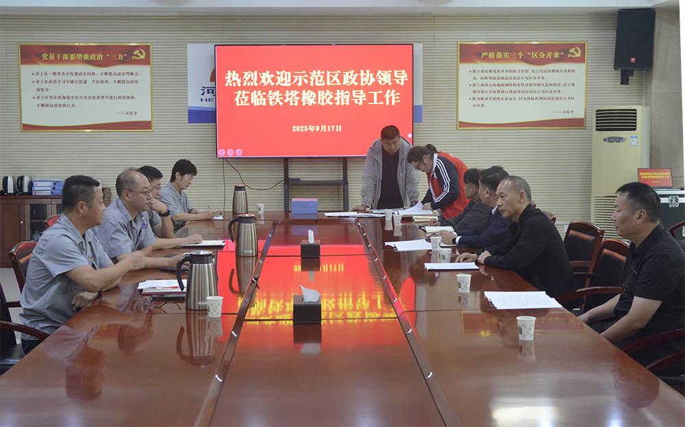 开封市示范区政协领导莅临开封铁塔橡胶调研督导安全环保工作